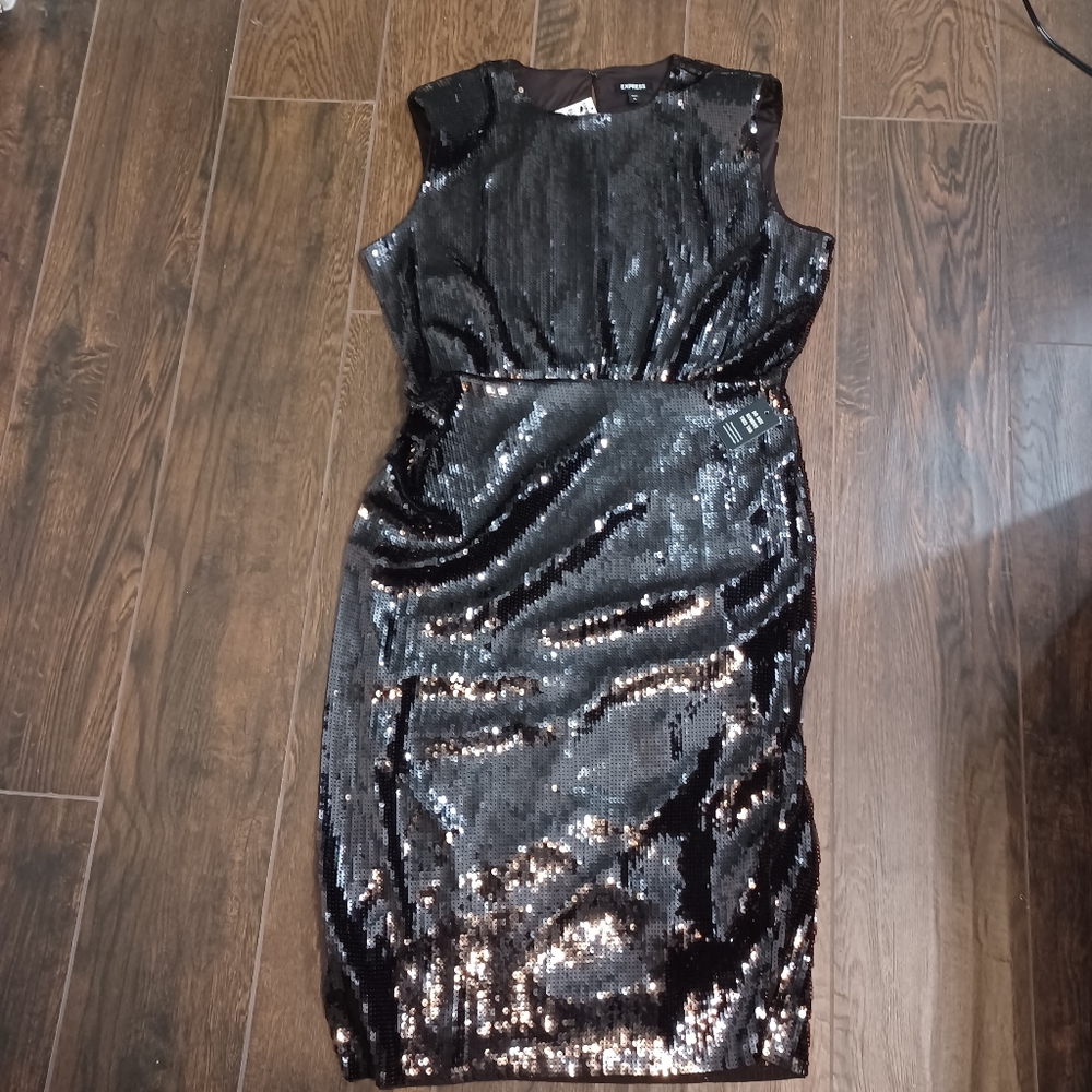 NWT Chocolate brown Express Sequin midi dress